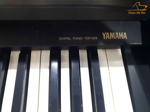 Đàn Piano Điện Yamaha YDP88II - Giảm Giá Sốc Tại Piano Hà Nội – Piano Hà Nội