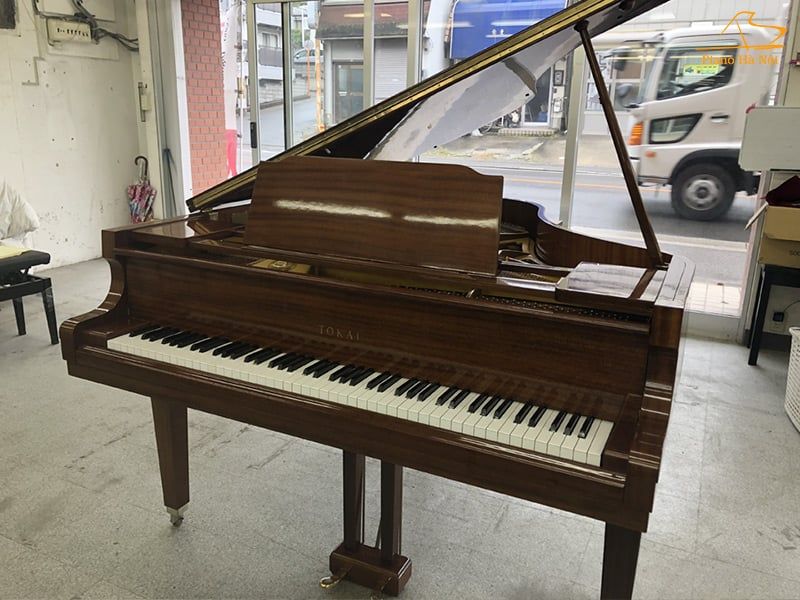 Grand Piano Tokai G 150 Piano H N i