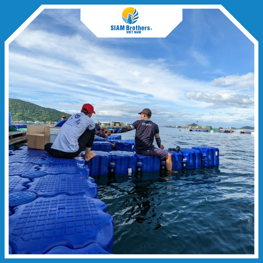 Phao Lồng Bè HDPE