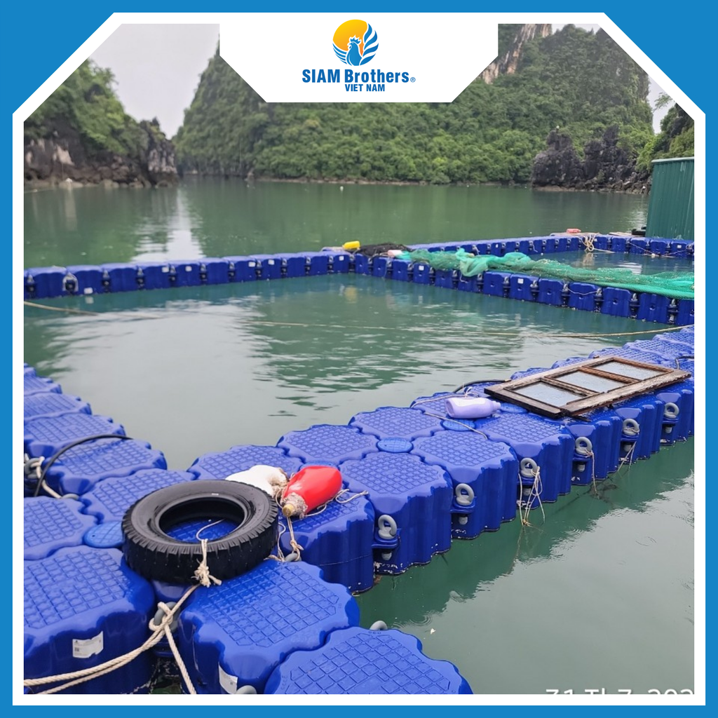 Phao Lồng Bè HDPE