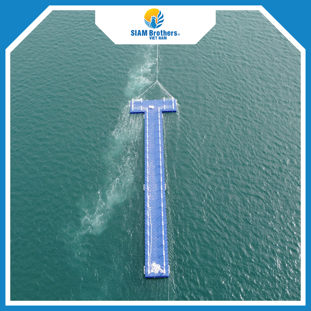Cầu Phao Nổi HDPE