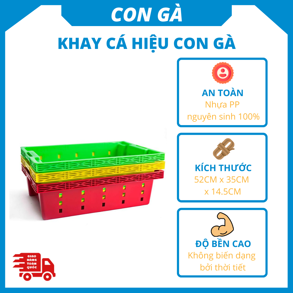 Khay Nhựa Đa Năng (Khay cá, sọt hoa quả...)