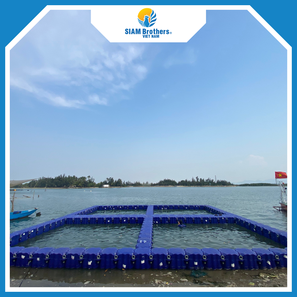 Phao Lồng Bè HDPE