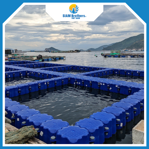  Phao Lồng Bè HDPE 