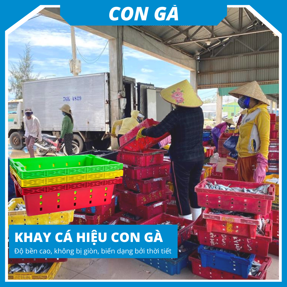 Khay Nhựa Đa Năng (Khay cá, sọt hoa quả...)