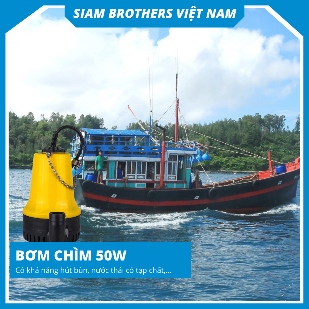 Bơm Chìm BP-12V-50W