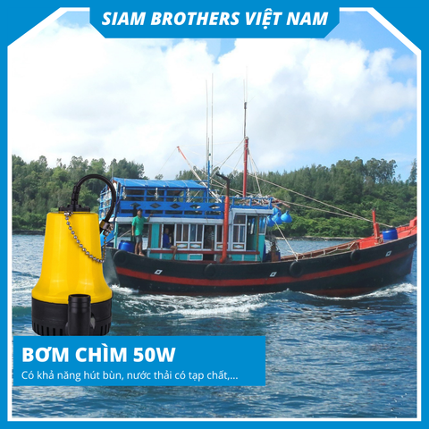  Bơm Chìm BP-12V-50W 