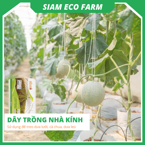  Dây Nhà Kính - Sợi Se Nông Nghiệp 