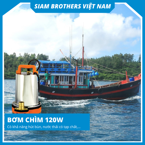  Bơm Chìm BPS-12V-120W 