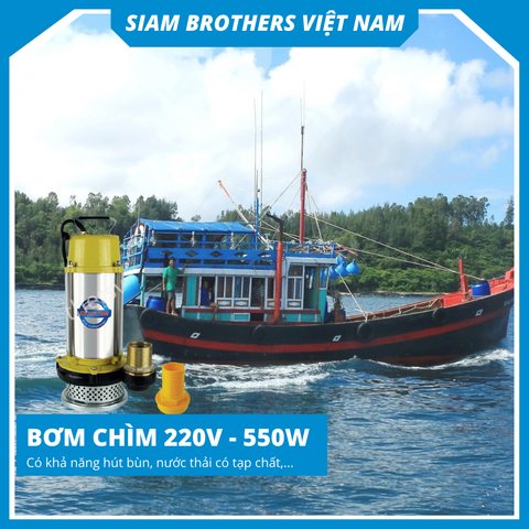  Bơm chìm bọc inox SSS10-10-0.55-550W 