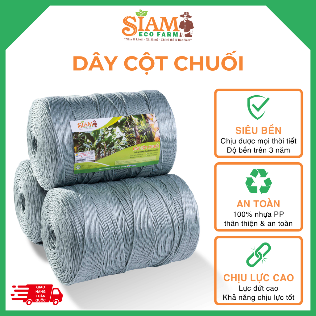 Dây Cột Chuối