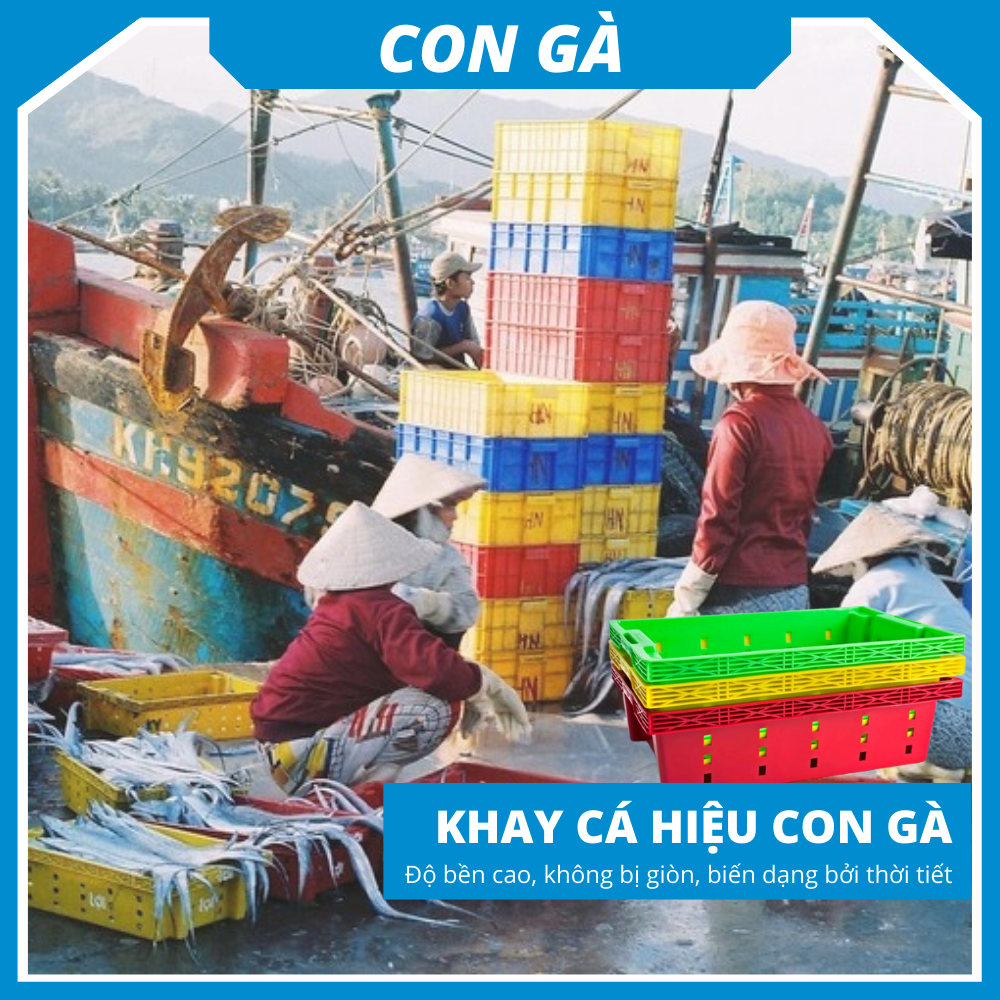 Khay Nhựa Đa Năng (Khay cá, sọt hoa quả...)