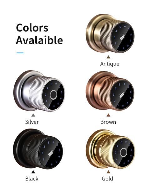  Khóa cửa thông minh (BL 10) 