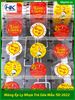 cuon-mang-ep-ly-nhua-mau-tet-2022