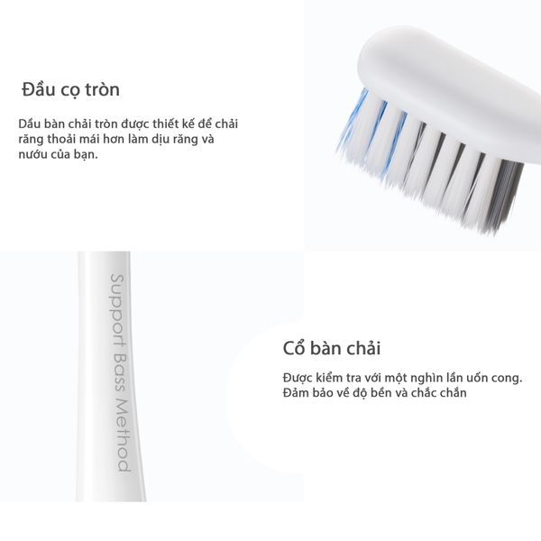 Bàn chải đánh răng Bass Tootbrush DR.BEI