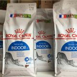  Thức Ăn Hạt Cho Mèo Royal Canin Indoor - Mèo trên 12 tháng tuổi 