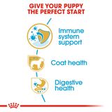  Thức Ăn Hạt Cho Chó Royal Canin Poodle Puppy - Chó giống Poodle dưới 12 tháng 