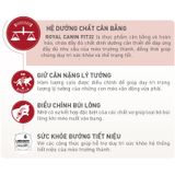  Thức Ăn Hạt Cho Mèo Royal Canin Fit - Mèo trên 12 tháng tuổi 