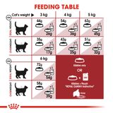  Thức Ăn Hạt Cho Mèo Royal Canin Fit - Mèo trên 12 tháng tuổi 