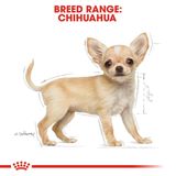  Thức Ăn Hạt Cho Chó Royal Canin Chihuahua Puppy - Chó giống Chihuahua dưới 12 tháng 