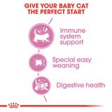  Thức Ăn Hạt Cho Mèo Royal Canin Mother & Babycat - Mèo mẹ & mèo con 1-4 tháng tuổi 