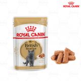  Pate Cho Mèo Royal Canin British Shorthair Adult 85g Dành Cho Mèo Anh Lông Ngắn Trưởng Thành 