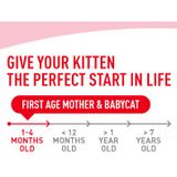  Thức Ăn Hạt Cho Mèo Royal Canin Mother & Babycat - Mèo mẹ & mèo con 1-4 tháng tuổi 