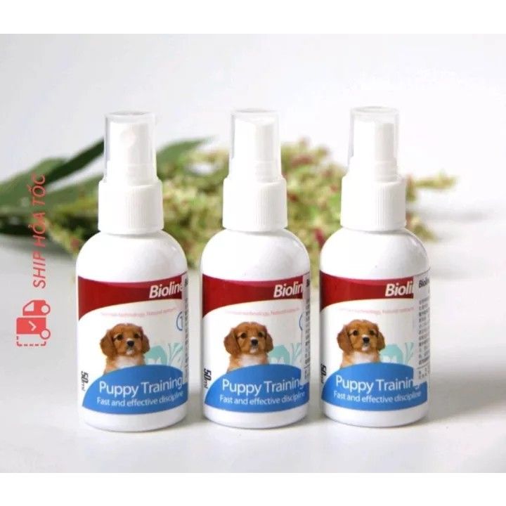 Puppy training bioline 2025