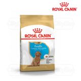  Thức Ăn Hạt Cho Chó Royal Canin Poodle Puppy - Chó giống Poodle dưới 12 tháng 