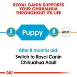  Thức Ăn Hạt Cho Chó Royal Canin Chihuahua Puppy - Chó giống Chihuahua dưới 12 tháng 