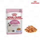  Pate Cho Mèo Con Royal Canin Kitten Gravy Jelly Loaf 85g 