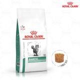  Thức Ăn Hạt Cho Mèo Royal Canin Diabetic Feline - Hỗ trợ kiểm soát dinh dưỡng cho mèo bị tiểu đường 