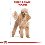  Thức Ăn Hạt Cho Chó Royal Canin Poodle Adult - Chó giống Poodle trên 12 tháng 