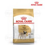  Thức Ăn Hạt Cho Chó Royal Canin Pug Adult - Chó giống Pug trên12 tháng 