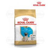  Thức Ăn Hạt Cho Chó Royal Canin Pug Puppy - Chó giống Pug dưới 12 tháng 