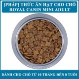  Thức Ăn Hạt Cho Chó Royal Canin Mini Adult - Chó kích cỡ Nhỏ <10kg: Chó trưởng thành trên 10 tháng tuổi 