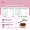 Hạt Cho Chó Nhạy Cảm Vị Cá Hồi NATURAL CORE  Sensitive Solution Salmon