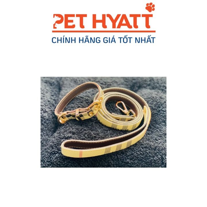 Dây Dắt Kèm Vòng Cổ BBR Cho Thú Cưng