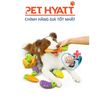 Đồ Chơi Phát Ra Tiếng Hình Trái Cây FOFOS Cho Chó
