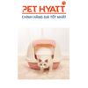 Nhà Vệ Sinh Mái Vòm Cao Cấp Cho Mèo