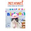 Nón Bằng Bông Thêu Chữ HBD Cho Thú Cưng