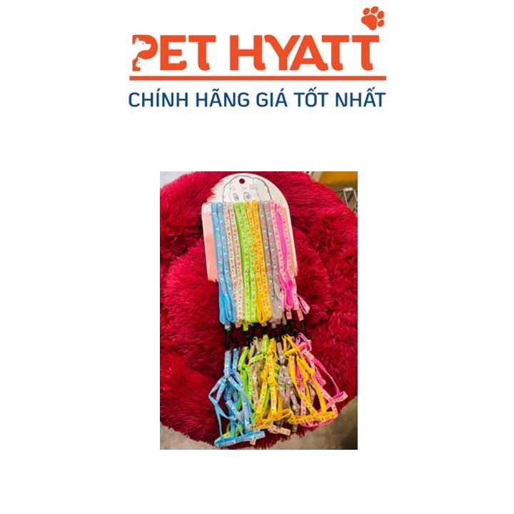 Dây Dắt Kèm Yếm Buddies