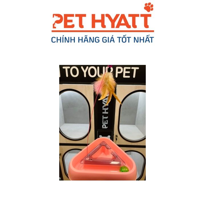 Đồ Chơi Hình Tam Giác Cho Mèo
