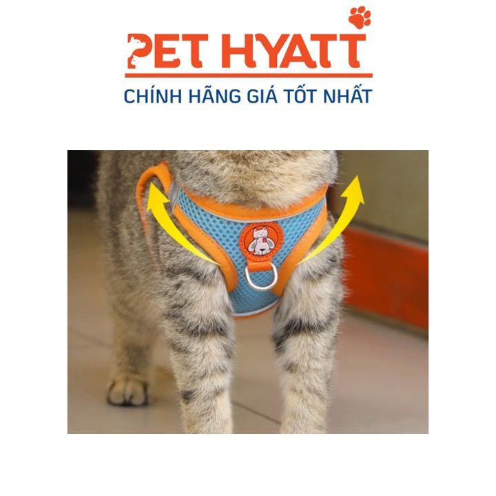 Yếm Kèm Dây Dắt Tag Ngực Mèo Cho Thú Cưng