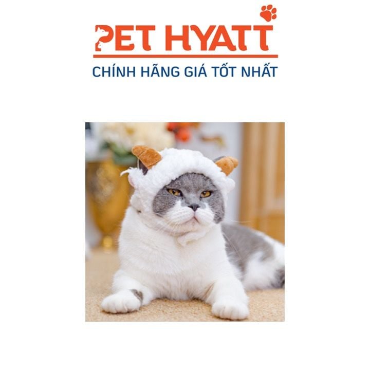 Cười té ghế với loạt ảnh selfie của thú cưng #35 Cười té ghế với loạt ảnh selfie của thú cưng