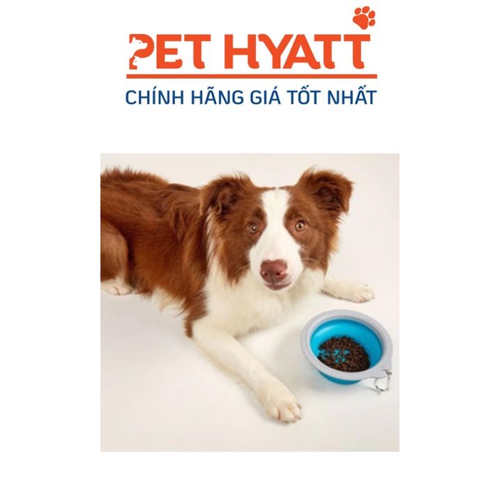 Bát Ăn Uống Gấp Gọn 500ML FOFOS Cho Chó Mèo