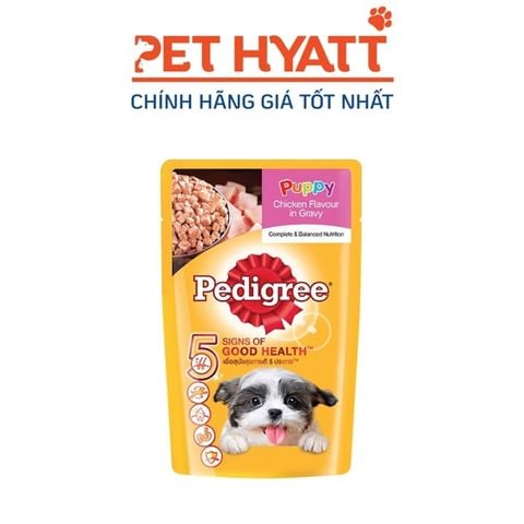  Pate Cho Chó Con Vị Gà Nấu Sốt PEDIGREE 5 SIGNS OF HEALTH Puppy Chicken Flavour in Gravy 