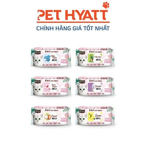  Khăn Ướt Kháng Khuẩn Cho Mèo KITCAT Cat Pet Wipes 