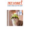Mũ Len Dệt Kim Nhiều Hình Cho Thú Cưng