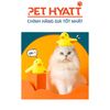 Đồ Chơi Tự Động Hình Vịt Vàng Có Catnip Dành Cho Mèo